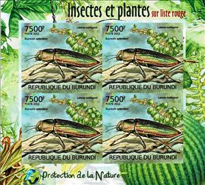 Mini Sheet, The Goldstreifiger (Buprestis splendens), Blue Latan Palm, Burundi,  , Animals (Fauna), Beetles, Flowers, Insects, Plants (Flora)