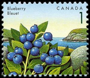 Stamp, Blueberry, Canada,  , Fruits and Berries, Plants (Flora)
