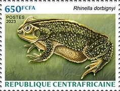 Stamp, Bella Vista Toad (Rhinella dorbignyi), Central African Republic,  , Amphibians, Animals (Fauna), Frogs, Reptiles