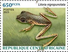 Stamp, Black-dotted Tree Frog (Litoria nigropunctata), Central African Republic,  , Amphibians, Animals (Fauna), Frogs, Reptiles