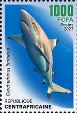 Stamp, Blacktip Shark (Carcharhinus limbatus), Central African Republic,  , Animals (Fauna), Fishes, Sharks
