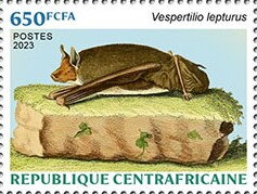 Brown White-lined Bat (Vespertilio lepturus)