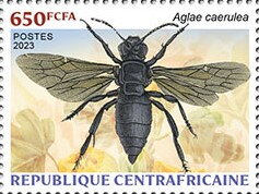 Stamp, Cerulean Cuckoo-Orchid Bee (Aglae caerulea), Central African Republic,  , Animals (Fauna), Insects