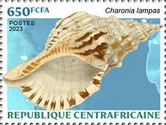 Stamp, Charonia lampas, Central African Republic,  , Animals (Fauna), Sea Life, Shells