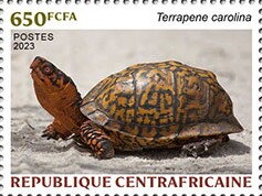 Stamp, Common Box Turtle (Terrapene carolina), Central African Republic,  , Animals (Fauna), Reptiles, Sea Life, Turtles
