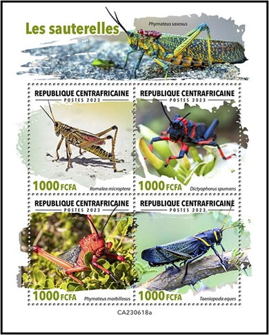 Grasshoppers