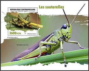Souvenir Sheet, Holocerus taurus, Central African Republic,  , Insects