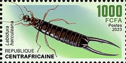 Stamp, Labidura herculeana, Central African Republic,  , Animals (Fauna), Insects