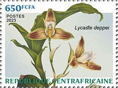 Stamp, Lycaste deppei, Central African Republic,  , Flowers, Orchids, Plants (Flora)