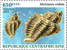 Stamp, Muricopsis cristata, Central African Republic,  , Animals (Fauna), Sea Life, Shells