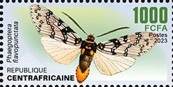 Phaegoptera flavopunctata