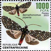 Phaegoptera flavopunctata
