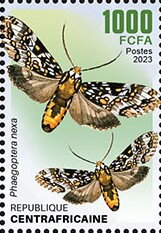 Stamp, Phaegoptera nexa, Central African Republic,  , Animals (Fauna), Butterflies and Moths, Insects