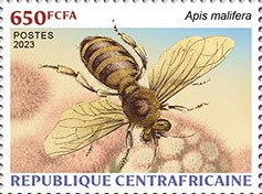 Western Honey Bee (Apis mellifera)