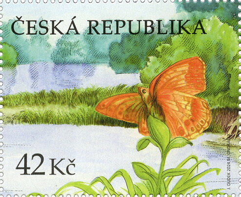Dark Green Fritillary (Speyeria aglaja)