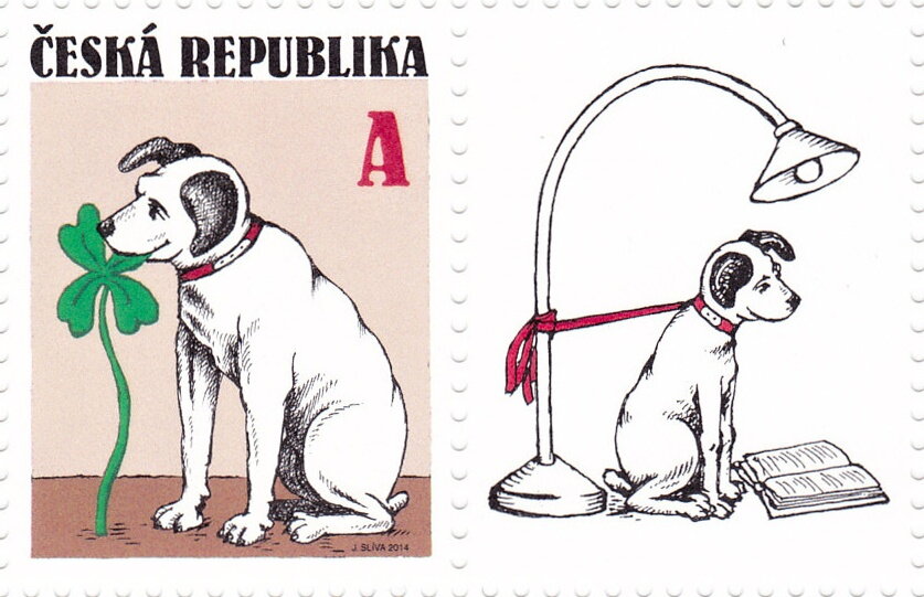 Dog with four-leaf clover