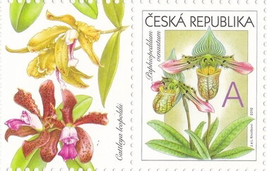 Stamp with Attached Label, Greeting-Stamp Motif - Orchids - A, Czech Republic,  , Flowers, Orchids, Plants (Flora)