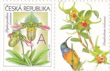 Greeting-Stamp Motif - Orchids - A