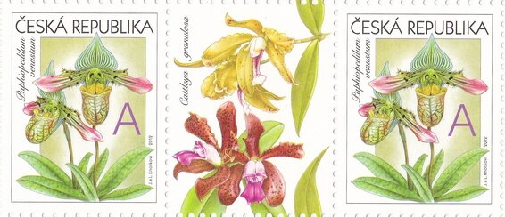 Greeting-Stamp Motif - Orchids - A