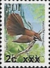 Kadavu Fantail (Rhipidura personata) Surcharged