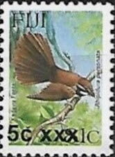 Kadavu Fantail (Rhipidura personata) Surcharged