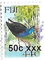 Purple Swamphen (Porphyrio porphyrio vitiensis)