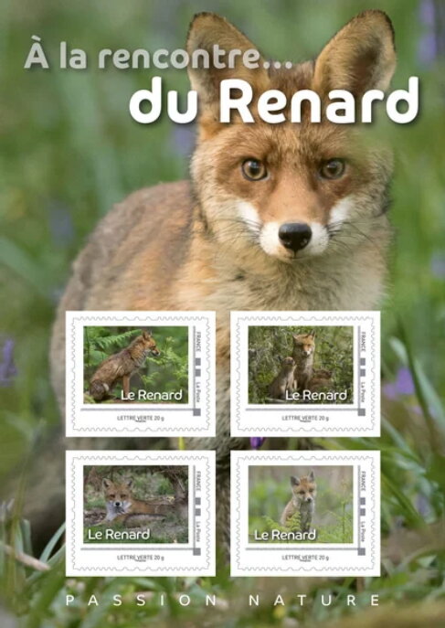 Fox