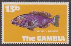 Stamp, Rock Hind (Epinephelus adscensionis), Gambia,  , Fishes