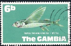 Stamp, Spotfin Flyingfish (Cypselurus furcatus) , Gambia,  , Fishes