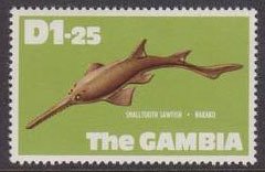 Stamp, Smalltooth Sawfish (Pristis pectinata), Gambia,  , Fishes