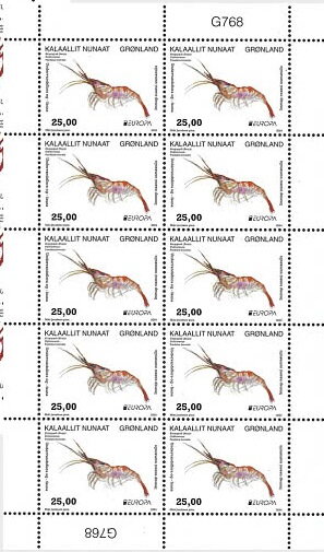 Northern Prawn (Pandalus borealis)