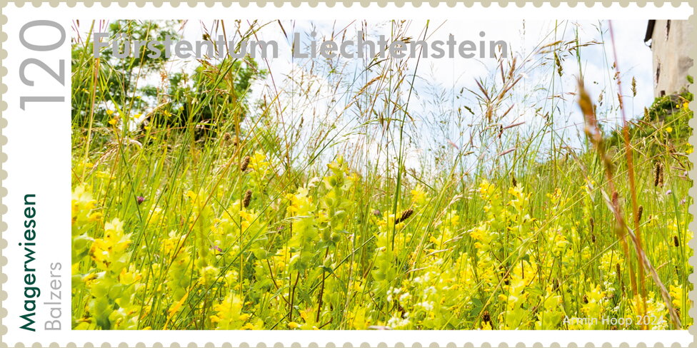 View of Natural Meadow, Balzers