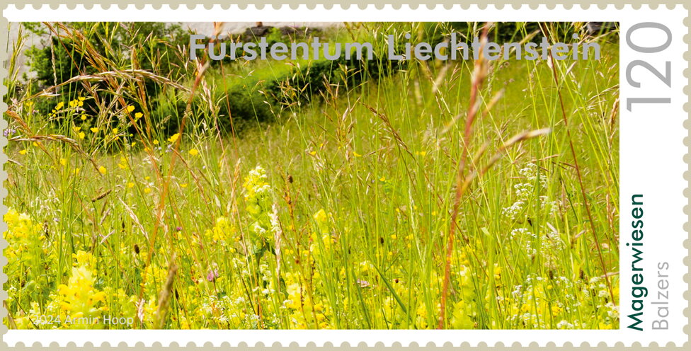 View of Natural Meadow, Balzers