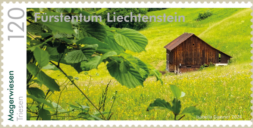View of Natural Meadow, Triesen