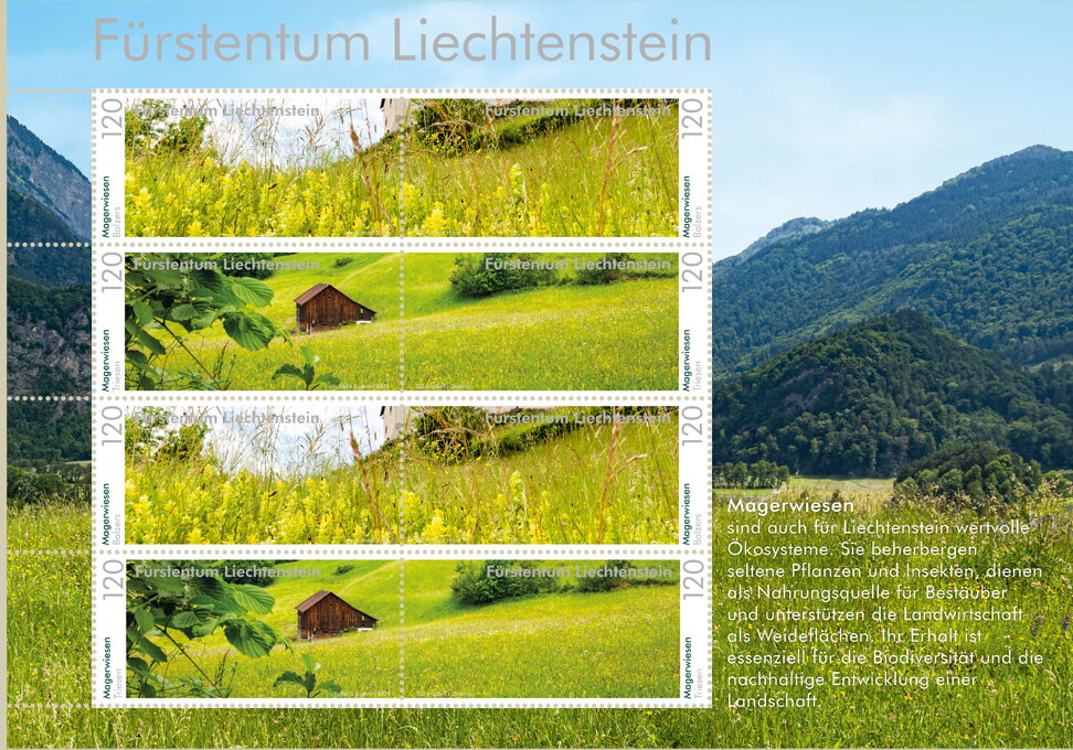 View of Natural Meadow, Triesen