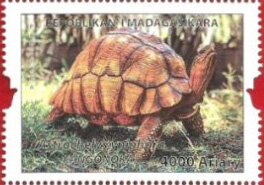 Stamp, Turtles of Madagascar, Madagascar,  , Turtles