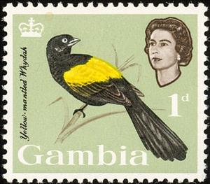 Stamp, Yellow-mantled Widowbird (Euplectes macrourus)  , Gambia,  , Birds, Animals (Fauna)