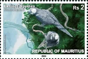 Stamp, Mauritius Grey Parrot (Lophopsittacus bensoni), Mauritius,  , Birds
