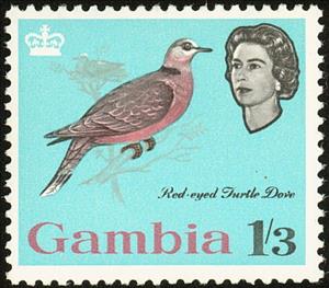 Stamp, Red-eyed Dove (Streptopelia semitorquata), Gambia,  , Birds, Animals (Fauna)