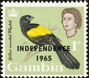 Stamp, Yellow-mantled Widowbird (Euplectes macrourus), Gambia,  , Birds, Animals (Fauna)