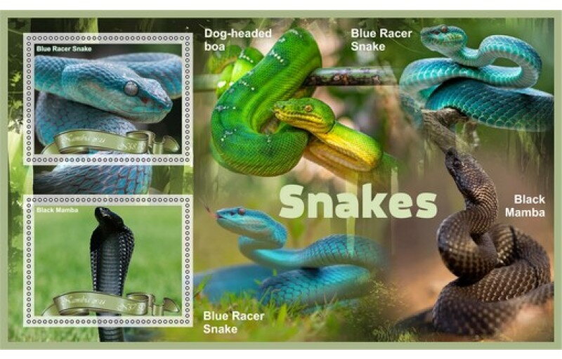 Fauna Snakes