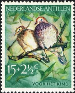 Common Ground Dove (Columbina passerina)