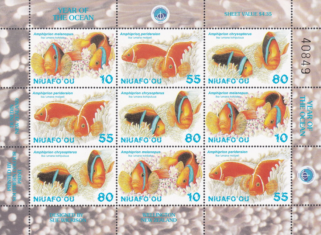 Anemonefishes/Clownfishes