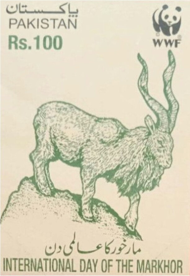 World Wildlife Fund : Day of the Markhor (Capra falconeri)