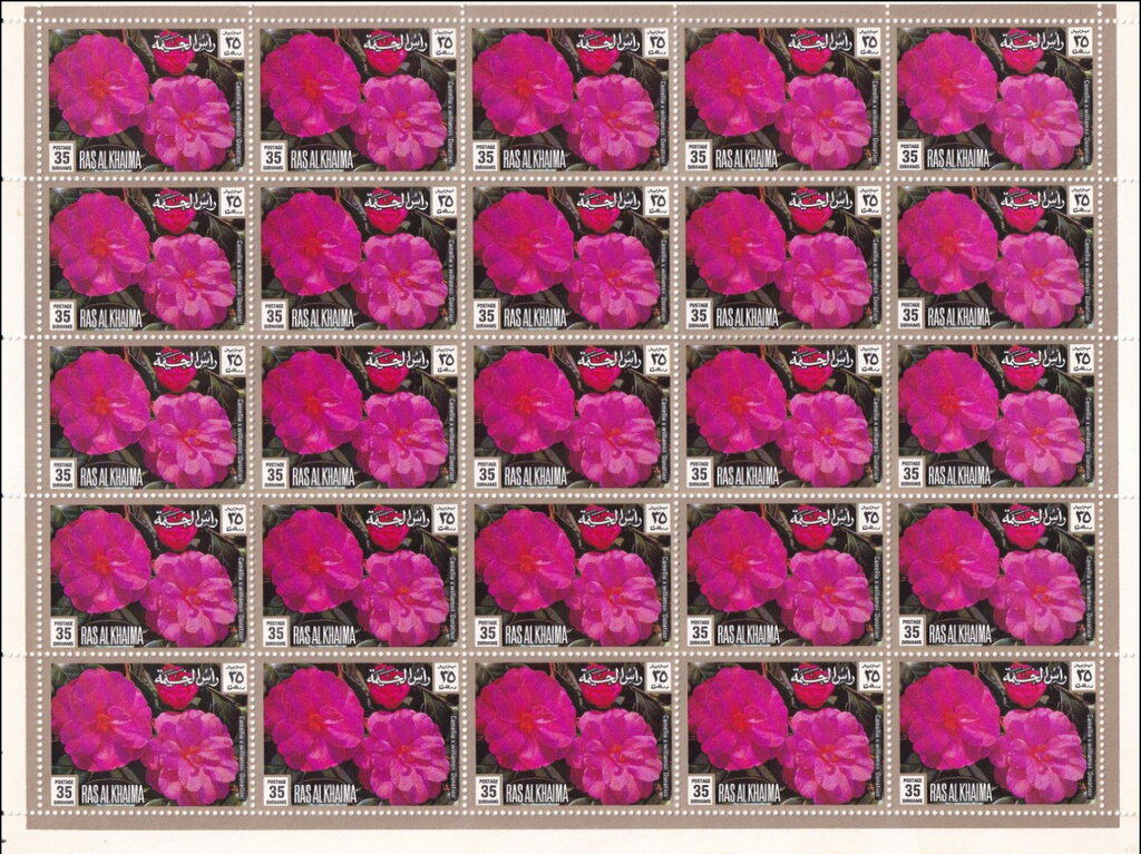 Camellia