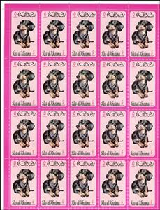 Full Pane, Dachshund, Ras al Khaimah,  , Animals (Fauna), Dogs, Mammals