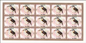 Full Pane, Dalmatian Arassari, Ras al Khaimah,  , Animals (Fauna), Birds, Toucans