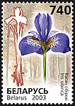 Stamp Rare flowers - Siberian Irises