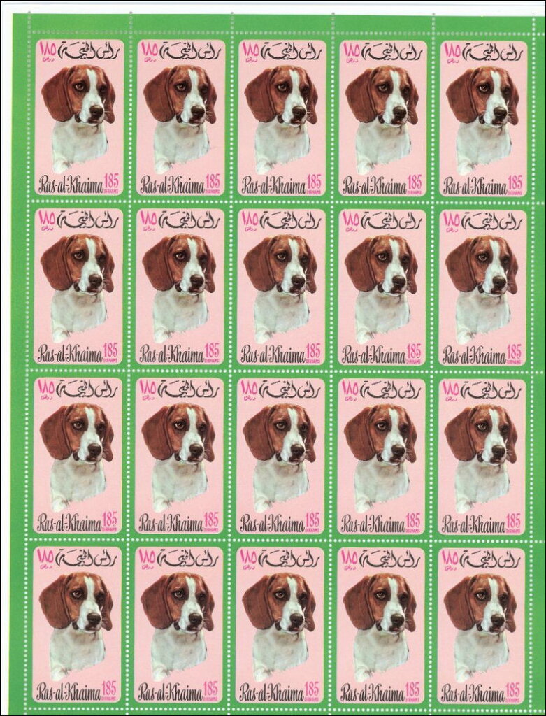 Hunting Dog
