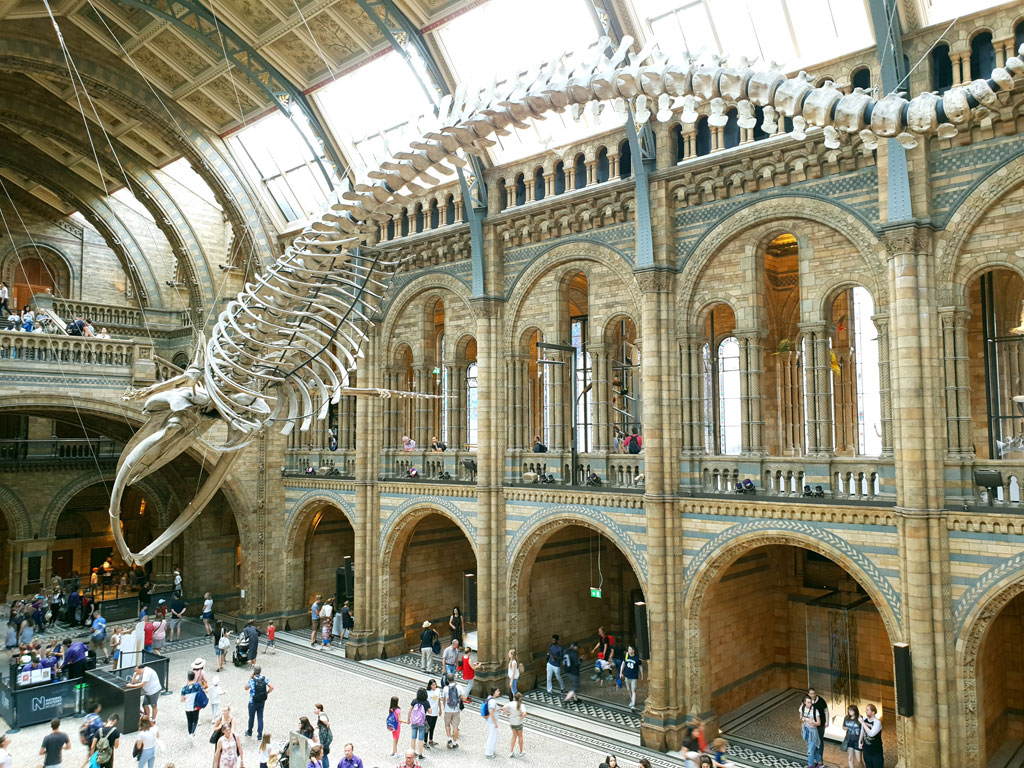 Museums